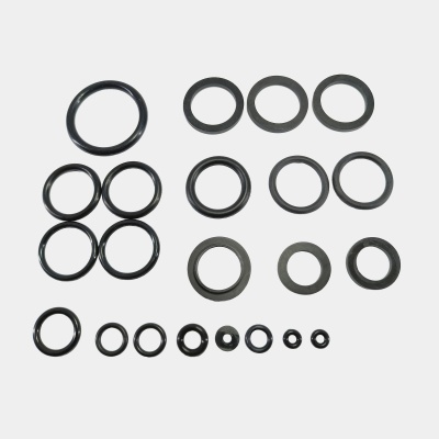 Ремонтный комплект для настеных котлов BBR05035005 (ВН2420010А) Deluxe, Ace, Atmo